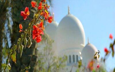 The Quality Of Consideration For Others In the Life of Hazrat Moulana Muhammad Maseehullah Khan Sahib رحمه الله