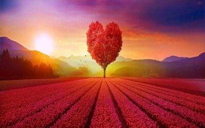 Happily Ever After – An Illusive Dream?