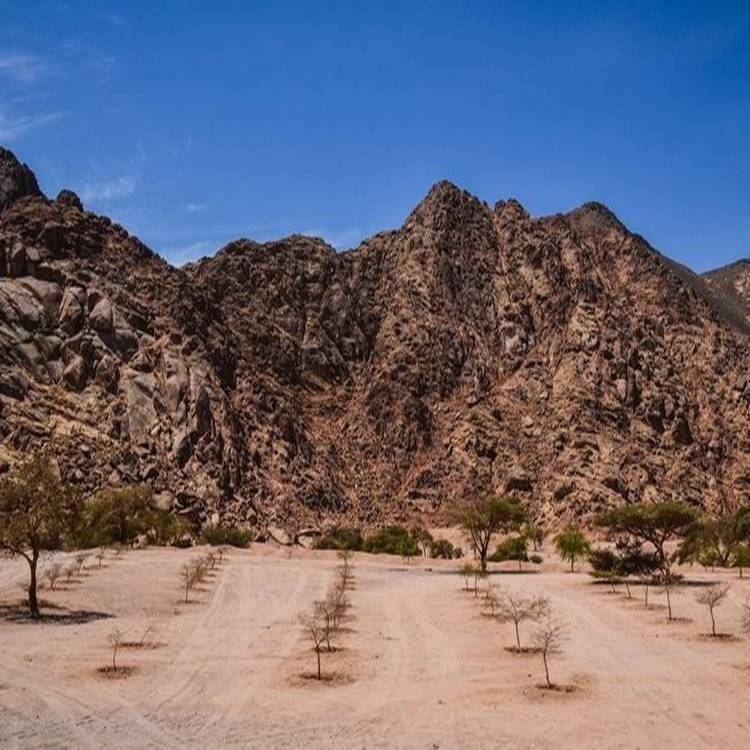 Battle-of-Uhud-840×450